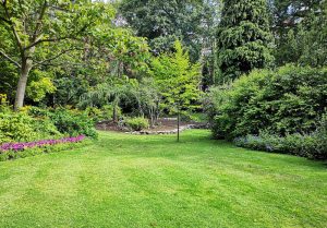 Optimiser l'expérience du jardin à Arbigny